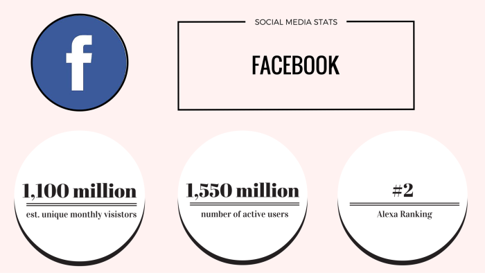 facebook social media stats