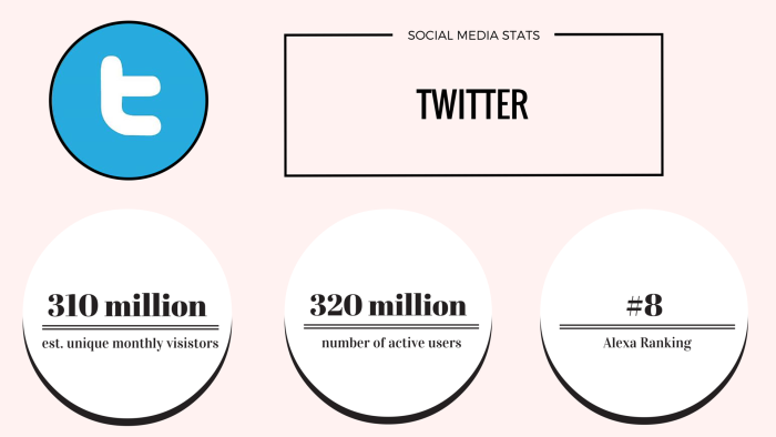 twitter social media stats