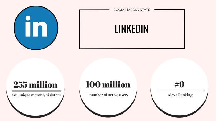 linkedin social media stats